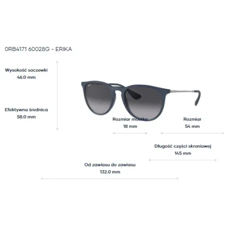 Ray-Ban 0RB4171  60028G - Erika